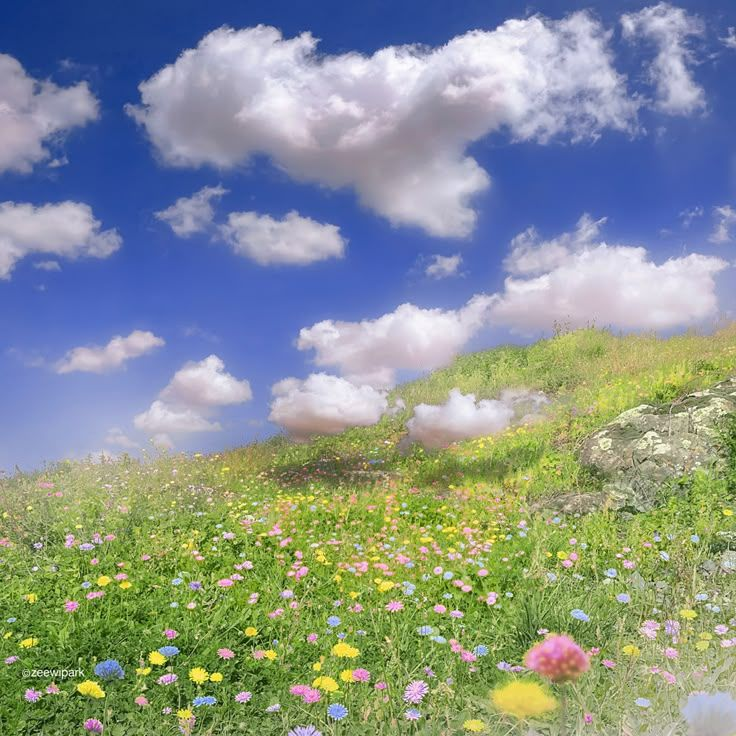 Selected track artwork